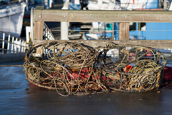 Crab Traps