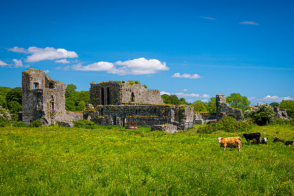 furst_220528_689-Edit_LR_.jpg