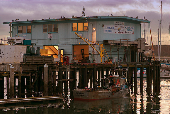 Pillar Point Harbor