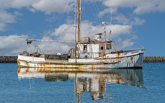 furst_210611_002-Edit-Recovered_LR_Advance.jpg