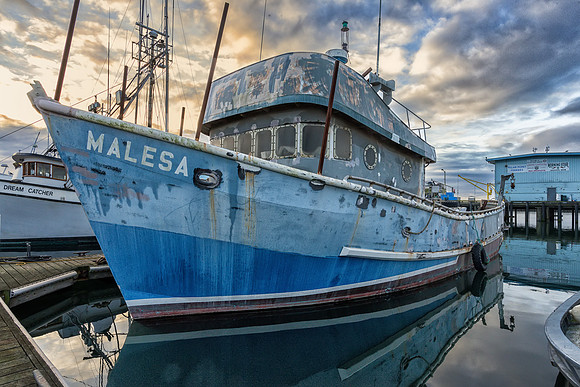 furst_221104_464-Edit_LR_The Malesa Needs New Paint.jpg