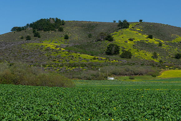 230315_0413-Edit.jpg