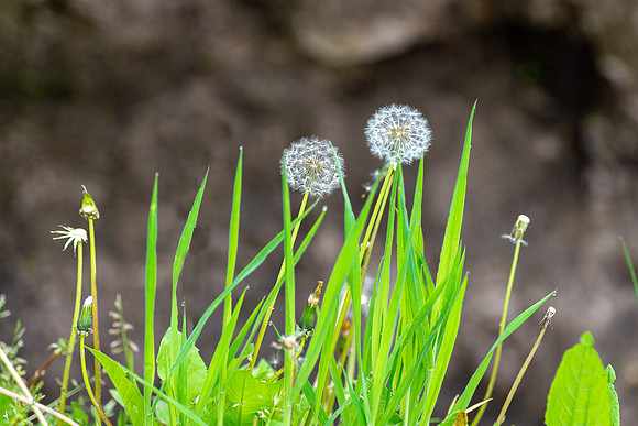 230425_0126-Edit.jpg