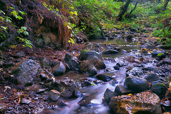 221109_467-Edit.jpg