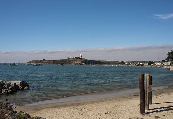 Pillar Point