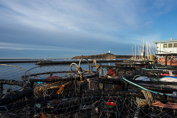 Crab Traps