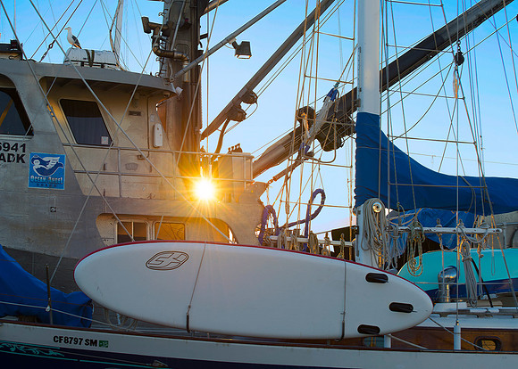 Sunflare in the harbor