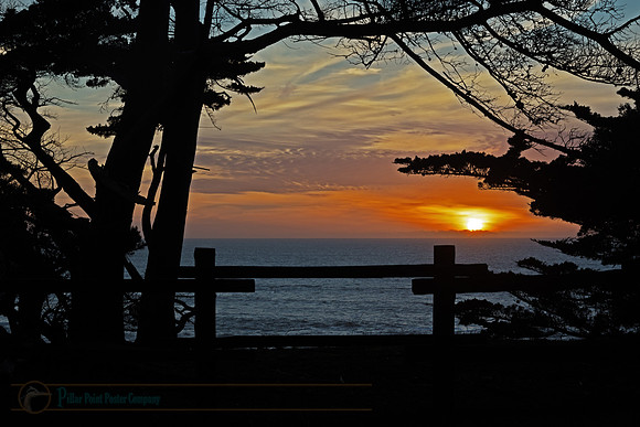 FMR Fence Sunset