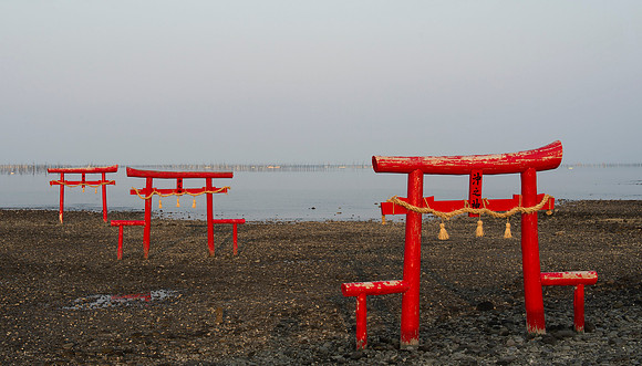 Torii