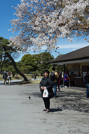 furst_190410_10395_LR_