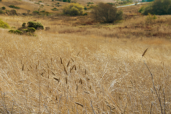 Cloverdale Ranch