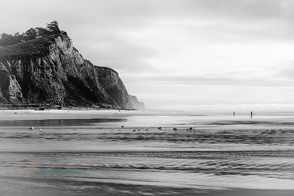 240226_0146-Edit.jpg