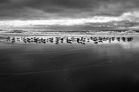 240226_0158-Edit.jpg