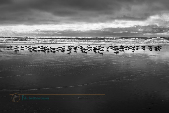 240226_0158-Edit.jpg