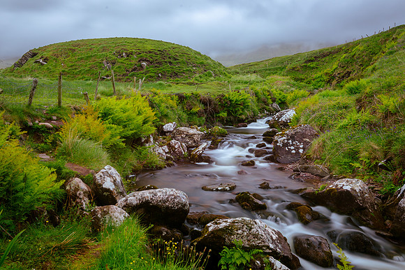 furst_220525_538_LR_Foggy River in Kerry.jpg