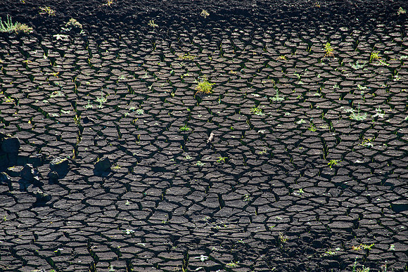 Dry Lake Bed