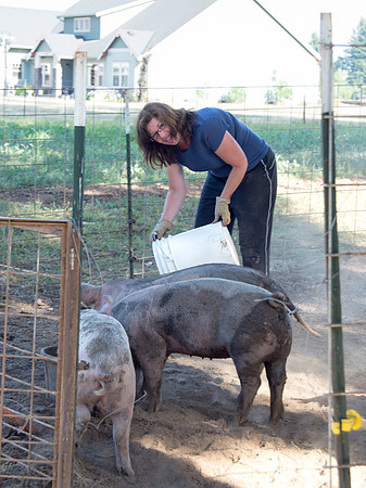 Tanya slops pigs