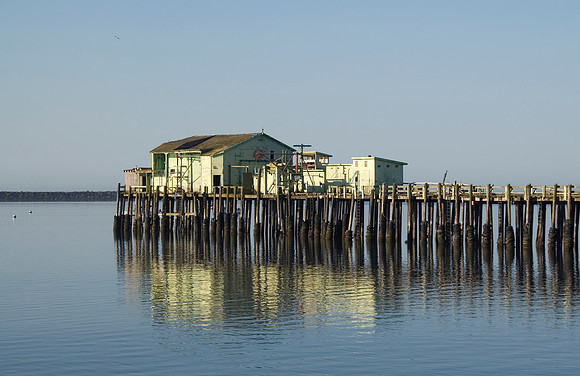 Green Hut