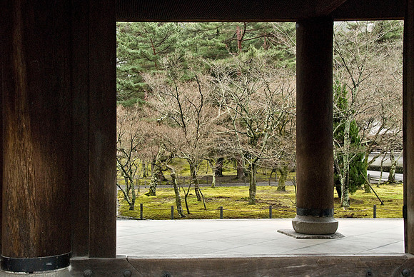 Winter Garden