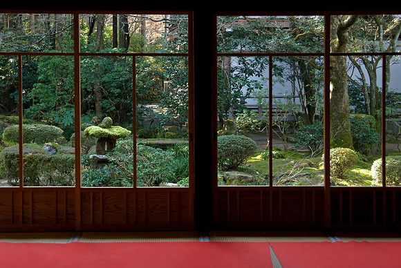 Window Garden