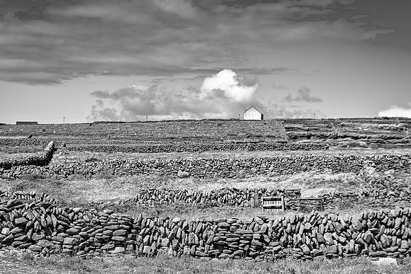 furst_220523_360-Edit-Edit_LR_.jpg