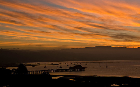 Harbor Dawn