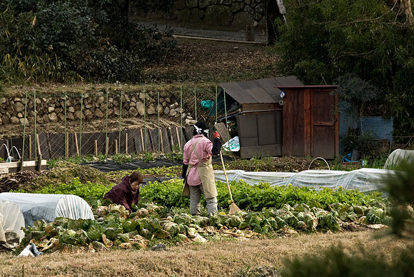 Gardeners