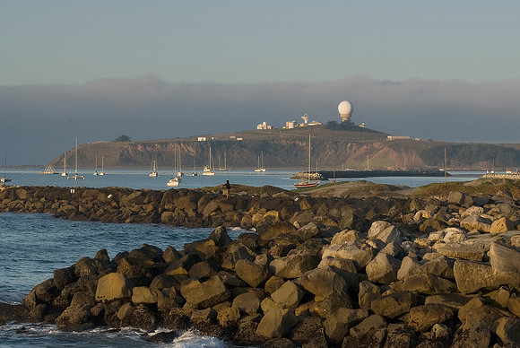 Harbor Day