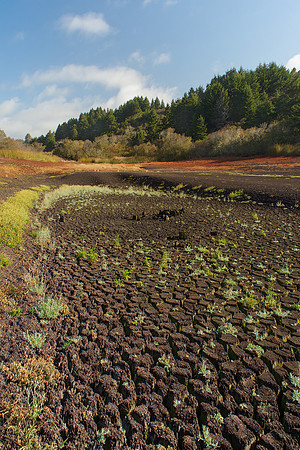 Frijoles Lake Bed